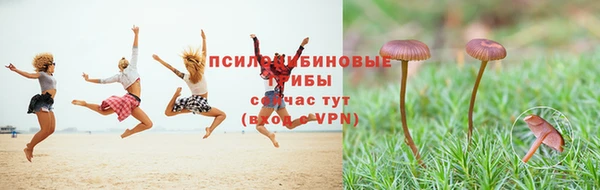 шишки Лагань