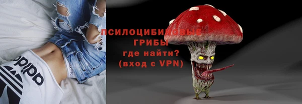соль курить ск Ладушкин