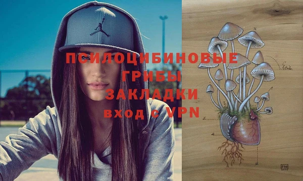 соль курить ск Ладушкин