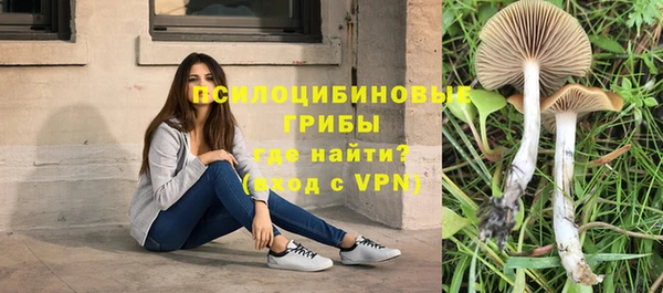 экстази Лиски