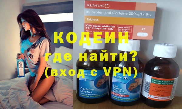 шишки Лагань