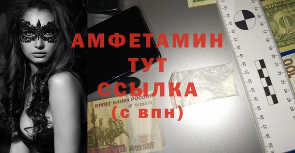 шишки Лагань